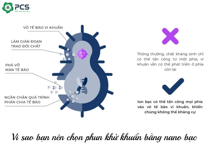 phun khử khuẩn bằng nano bạc 